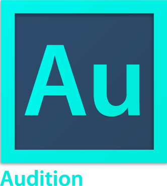 audition